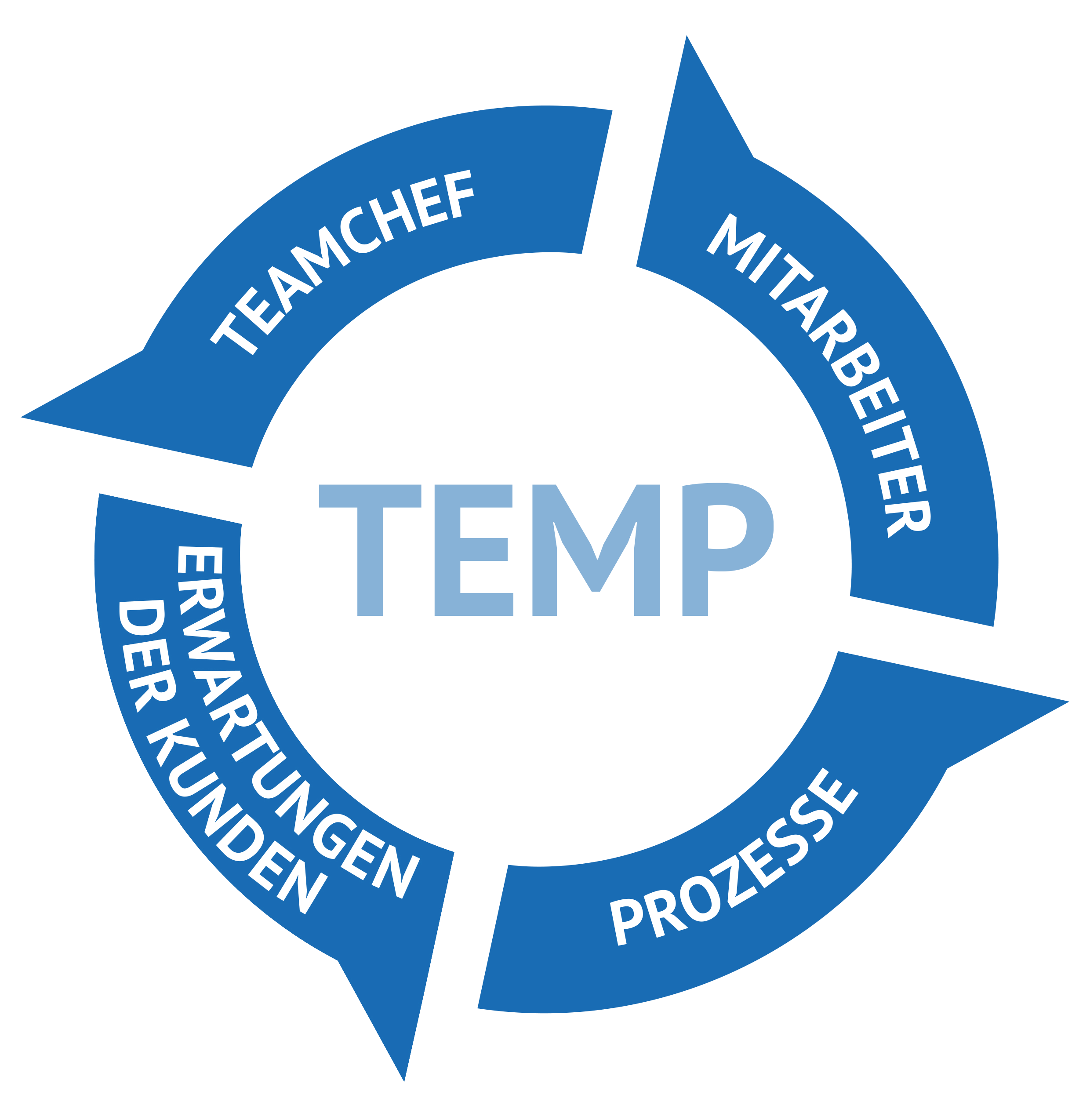 Die TEMP Rose, die die vier Bereiche der TEMP Methode beschreibt.